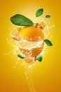 Water splashing on Fresh Sliced ââoranges and Orange fruit on Orange background Royalty Free Stock Photo